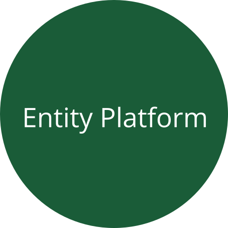 Entity Platform